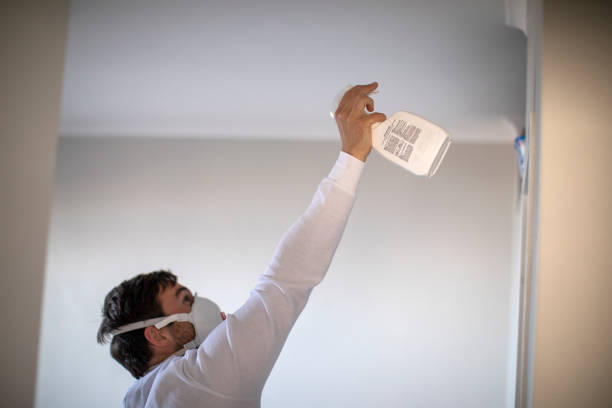 Best Crawl Space Mold Removal  in Broomall, PA