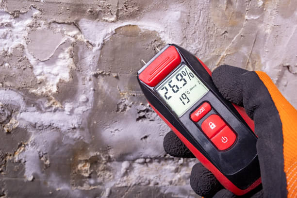 Best Toxic Mold Removal  in Broomall, PA