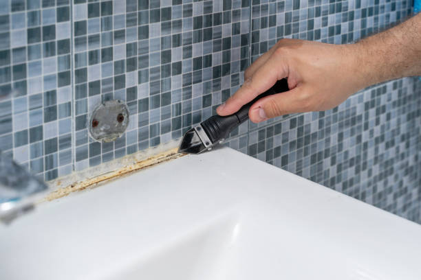 Best Mold Cleaning Services  in Broomall, PA