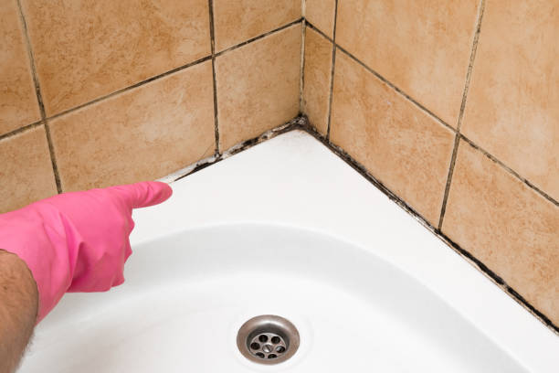 Best Office Mold Removal Services  in Broomall, PA